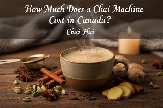 Chai Machine Prices in Canada: Complete Buying Guide